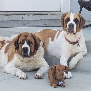 Meet your Posher, Jo